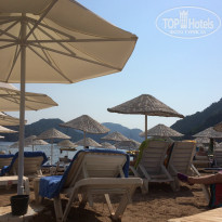 фото из отзыва ID 1281537