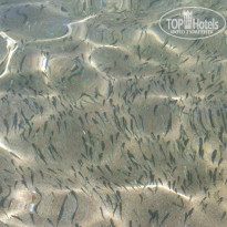 фото из отзыва ID 1281613