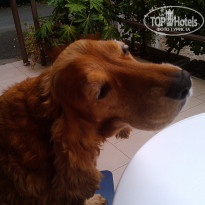 фото из отзыва ID 1281928