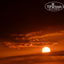 фото из отзыва ID 1281967