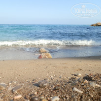 фото из отзыва ID 1282098