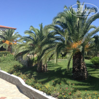 фото из отзыва ID 1282248