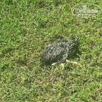 фото из отзыва ID 1282279