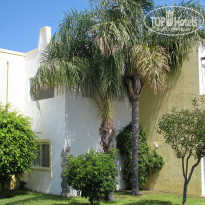 фото из отзыва ID 1282440