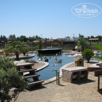 фото из отзыва ID 1282440