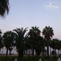 фото из отзыва ID 1282550