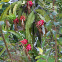 фото из отзыва ID 1282550