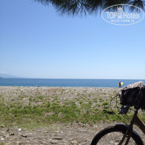 фото из отзыва ID 1282572