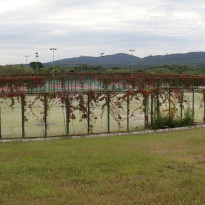 фото из отзыва ID 1282626