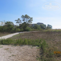 фото из отзыва ID 1282758