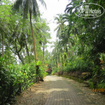 фото из отзыва ID 1283625