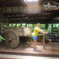 фото из отзыва ID 1283625