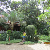 фото из отзыва ID 1283625