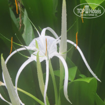 фото из отзыва ID 1283625