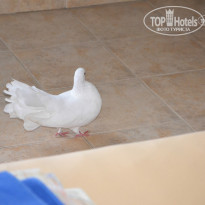 фото из отзыва ID 1281971