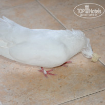 фото из отзыва ID 1281971