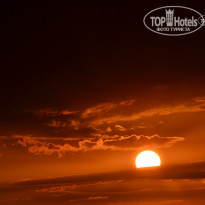 фото из отзыва ID 1281971