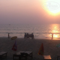 фото из отзыва ID 1283996