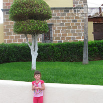 фото из отзыва ID 1283348