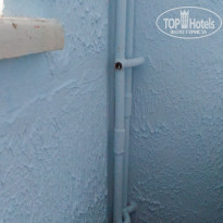 фото из отзыва ID 1284246