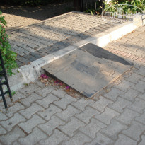 фото из отзыва ID 1284341