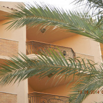 фото из отзыва ID 1284380