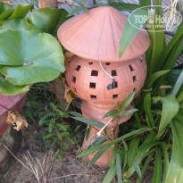 фото из отзыва ID 1284032