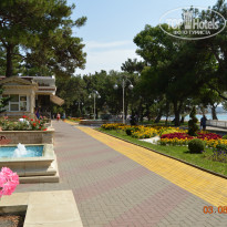 фото из отзыва ID 1284441