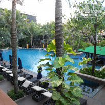 фото из отзыва ID 1284460