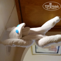 фото из отзыва ID 1284622