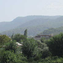 фото из отзыва ID 1284748