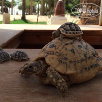 фото из отзыва ID 1284784