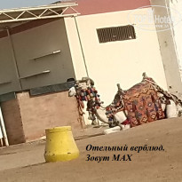 фото из отзыва ID 1284861