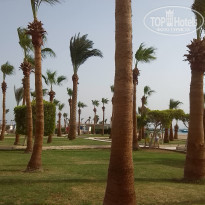 фото из отзыва ID 1284861