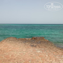 фото из отзыва ID 1284861