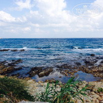 фото из отзыва ID 1284995