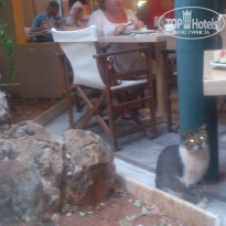 фото из отзыва ID 1285283