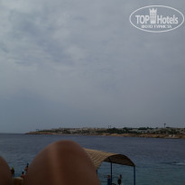 фото из отзыва ID 1284913