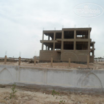 фото из отзыва ID 1285519