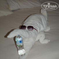 фото из отзыва ID 1283009