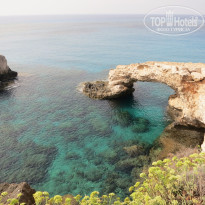 фото из отзыва ID 1285811