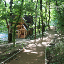 фото из отзыва ID 1285824