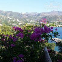 фото из отзыва ID 1286060