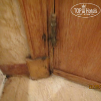 фото из отзыва ID 1286167