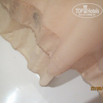 фото из отзыва ID 1286167