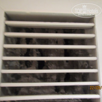 фото из отзыва ID 1286167