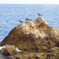 фото из отзыва ID 1286419