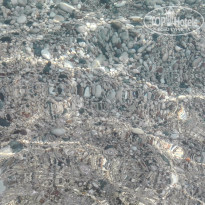 фото из отзыва ID 1286842