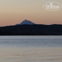 фото из отзыва ID 1287026