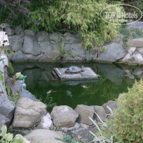 фото из отзыва ID 1286485